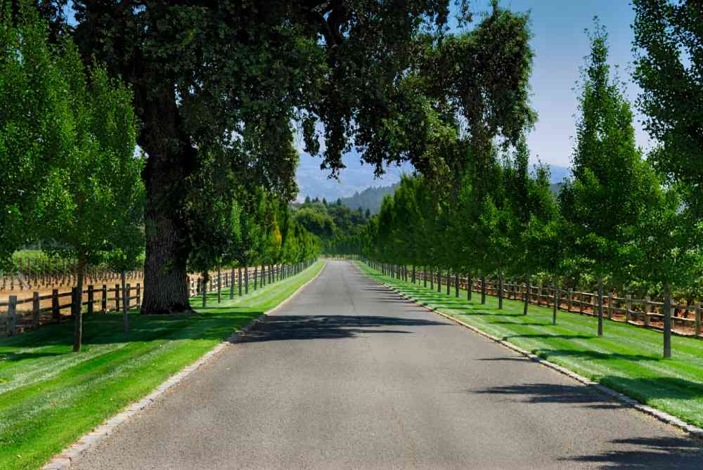 Private Road Paving in Oregon City, Oregon